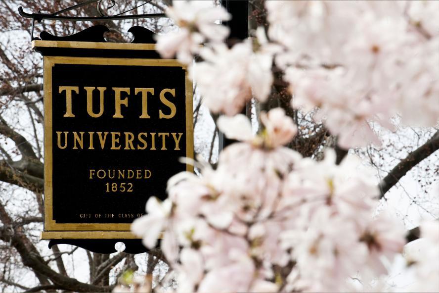 Tufts University sign with white flowers in the forefront